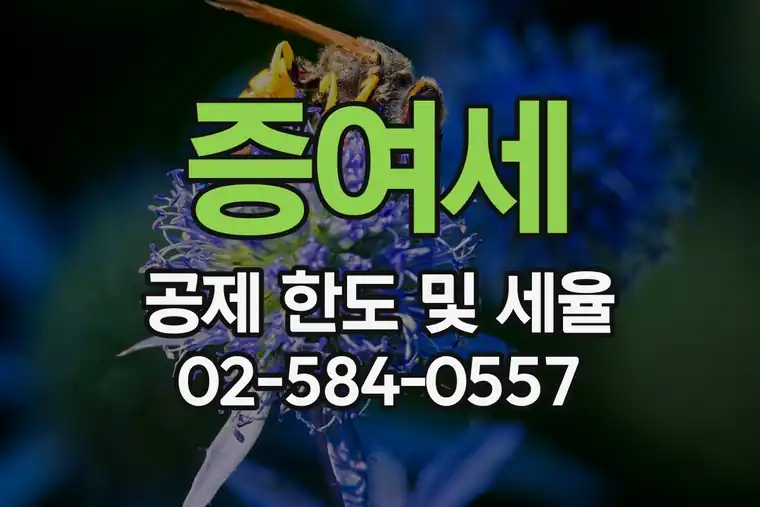 증여세 공제 한도 및 세율