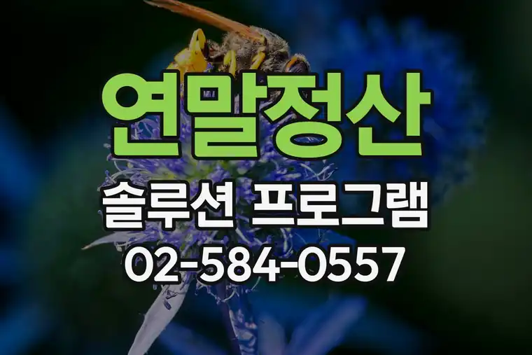 연말정산 솔루션 프로그램