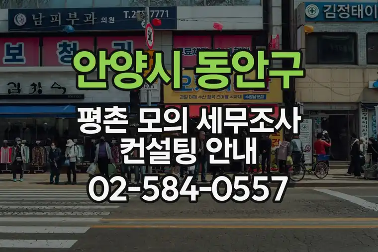 경기 안양시 동안구 범계동 평촌 모의 세무조사 컨설팅 안내