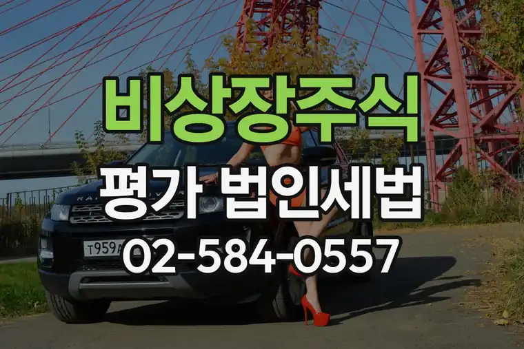 비상장주식 평가 법인세법