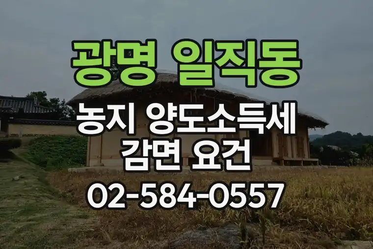 경기 광명 일직동 농지 양도소득세 감면 요건
