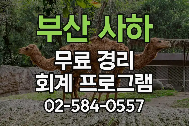 부산 사하 다대동 무료 경리 회계 프로그램