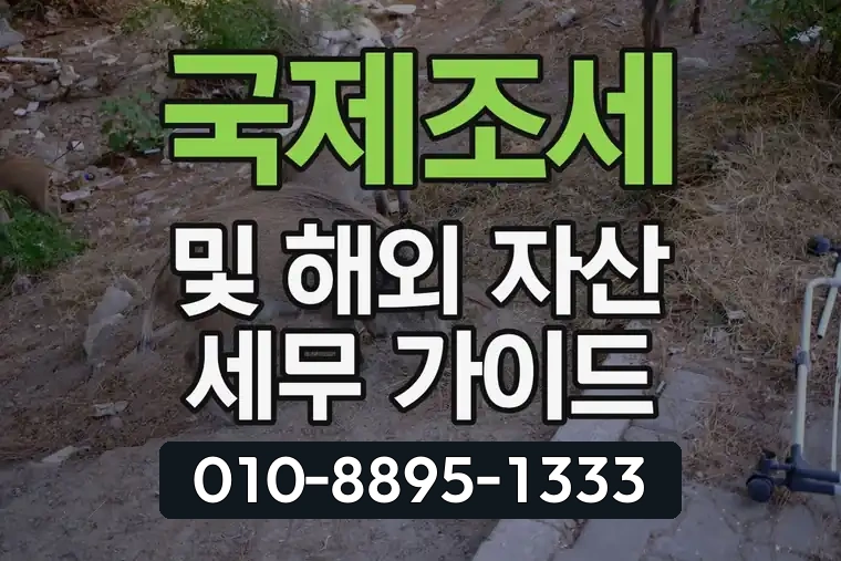 국제조세 및 해외 자산 세무 가이드
