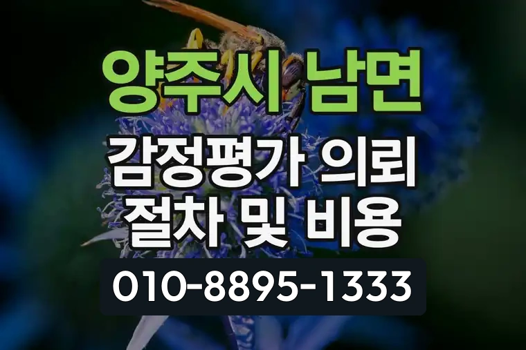 경기 양주시 남면 감정평가 의뢰 절차 및 비용