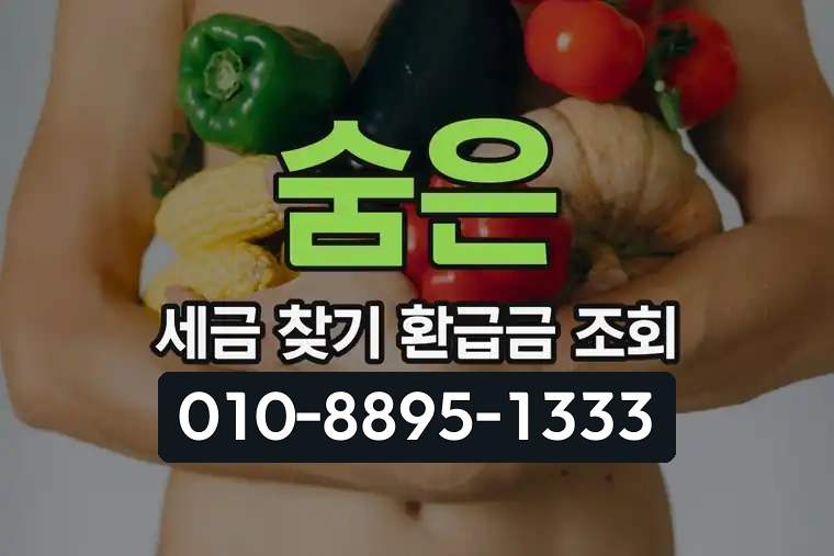 숨은 세금 찾기 환급금 조회