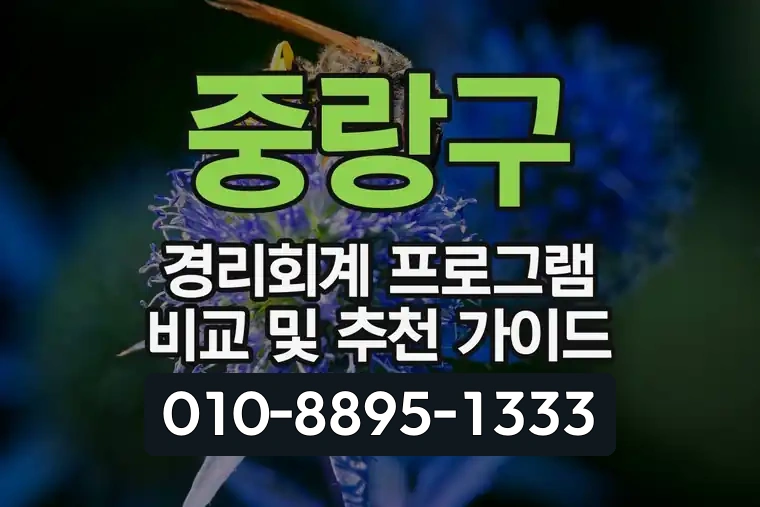 중랑구 경리회계 프로그램 비교 및 추천 가이드