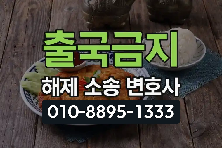 출국금지 해제 소송 변호사