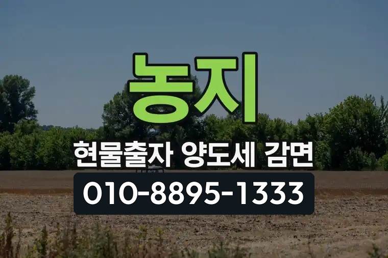 농지 현물출자 양도세 감면
