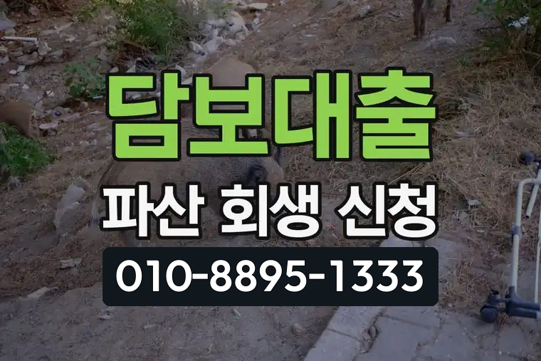 담보대출 파산 회생 신청