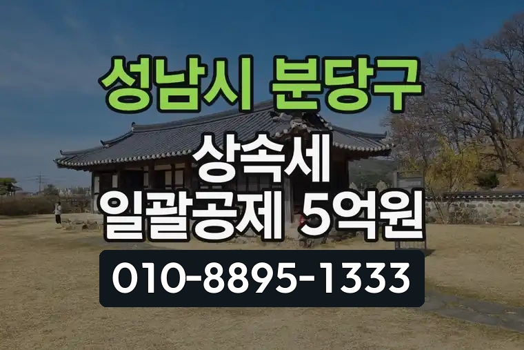 경기 성남시 분당구 판교동 상속세 일괄공제 5억원