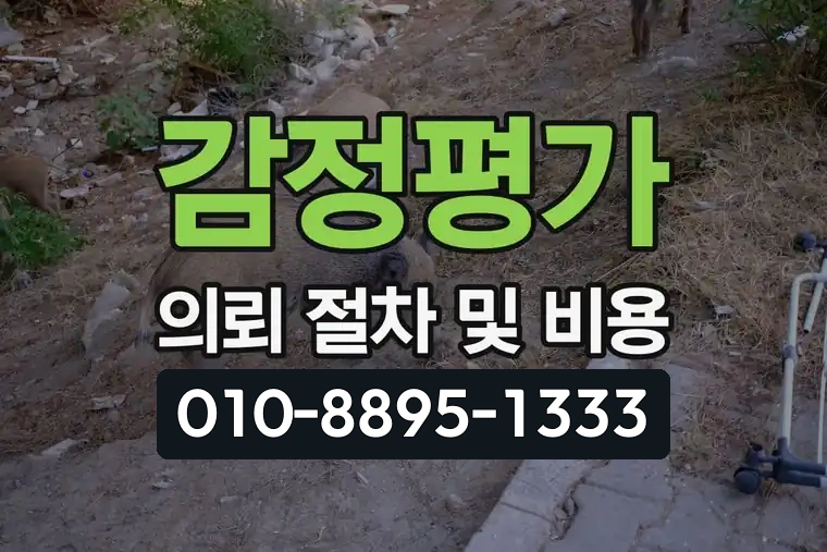 감정평가 의뢰 절차 및 비용