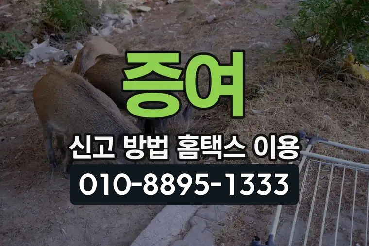 증여 신고 방법 홈택스 이용