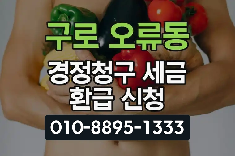 서울 구로 오류동 경정청구 세금 환급 신청