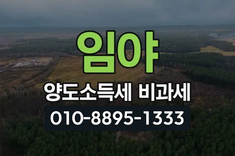 임야 양도소득세 비과세