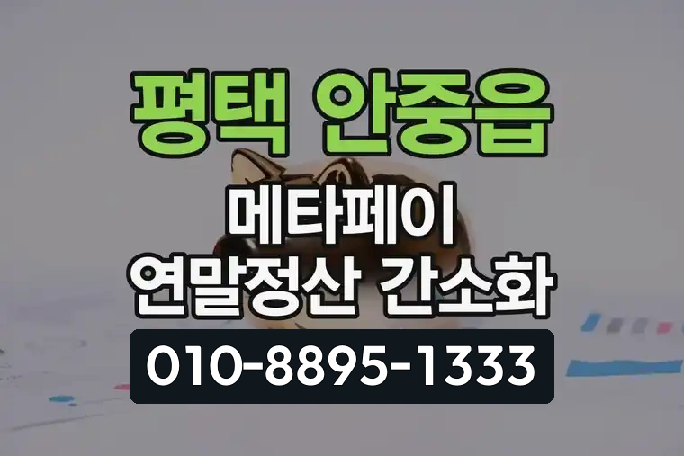 경기 평택 안중읍 메타페이 연말정산 간소화