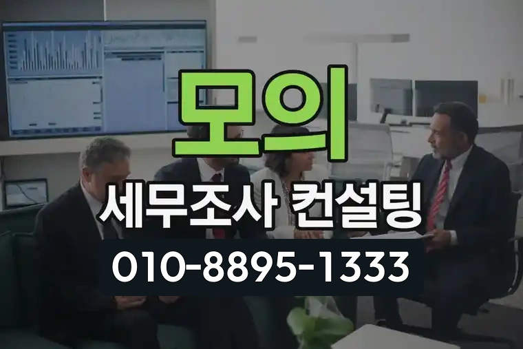 모의 세무조사 컨설팅 안내