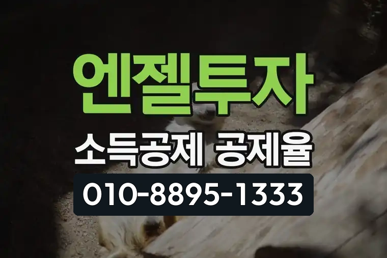 엔젤투자 소득공제 공제율