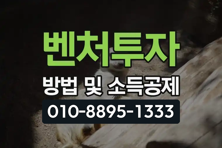 벤처투자 방법 및 소득공제