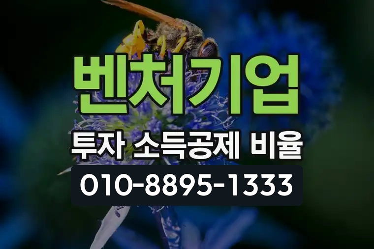 벤처기업 투자 소득공제 비율