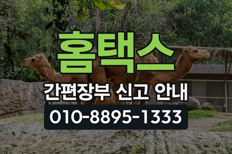 홈택스 간편장부 신고 안내