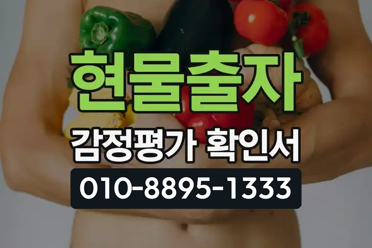 현물출자 감정평가 확인서