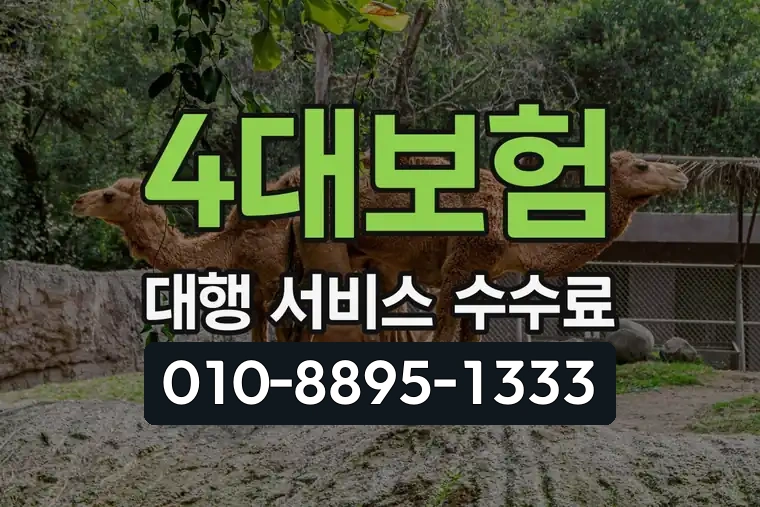 4대보험 대행 서비스 수수료
