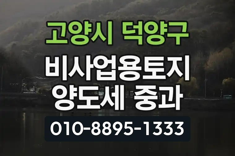 경기 고양시 덕양구 삼송동 비사업용토지 양도세 중과