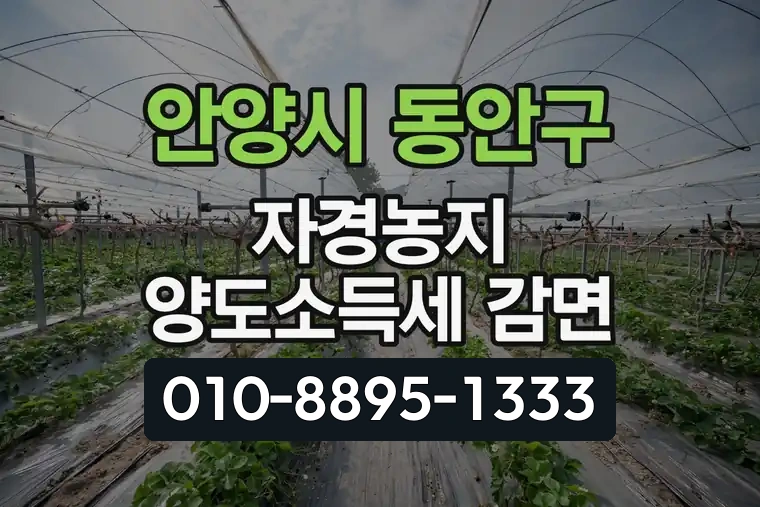 경기 안양시 동안구 관양동 자경농지 양도소득세 감면
