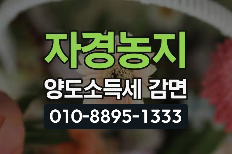 자경농지 양도소득세 감면