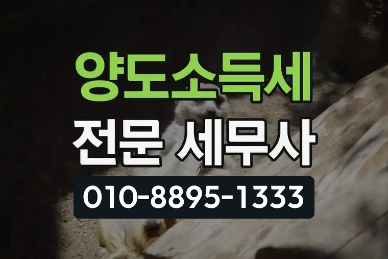 양도소득세 전문 세무사