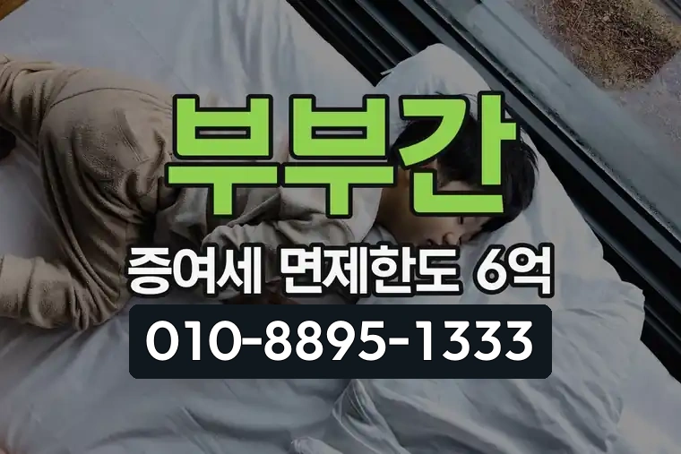 부부간 증여세 면제한도 6억
