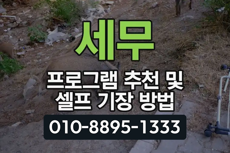 세무 프로그램 추천 및 셀프 기장 방법