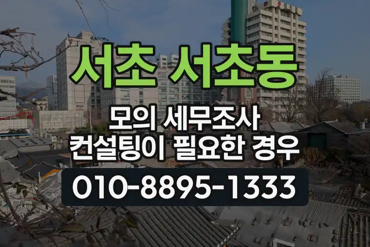 서울 서초 서초동 모의 세무조사 컨설팅이 필요한 경우