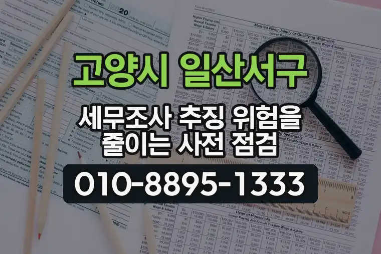 경기 고양시 일산서구 일산동 세무조사 추징 위험을 줄이는 사전 점검