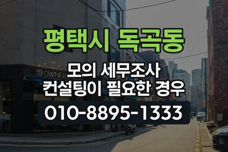 경기 평택시 독곡동 모의 세무조사 컨설팅이 필요한 경우
