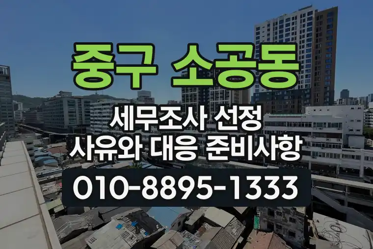 서울 중구 소공동 세무조사 선정 사유와 대응 준비사항