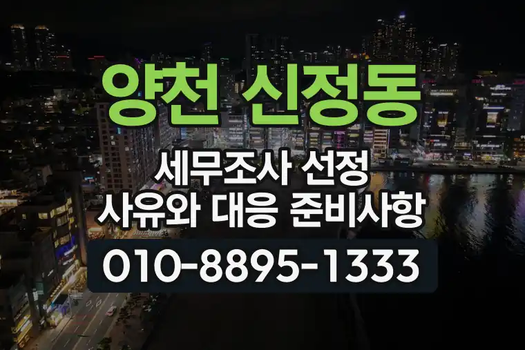 서울 양천 신정동 세무조사 선정 사유와 대응 준비사항