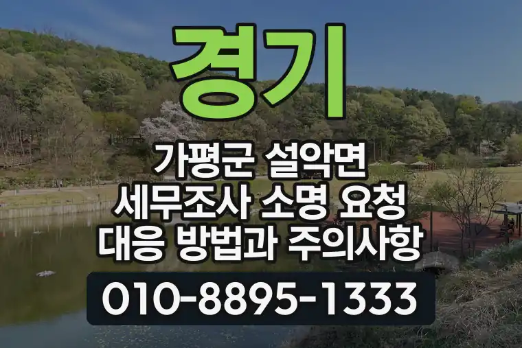 경기 가평군 설악면 세무조사 소명 요청 대응 방법과 주의사항