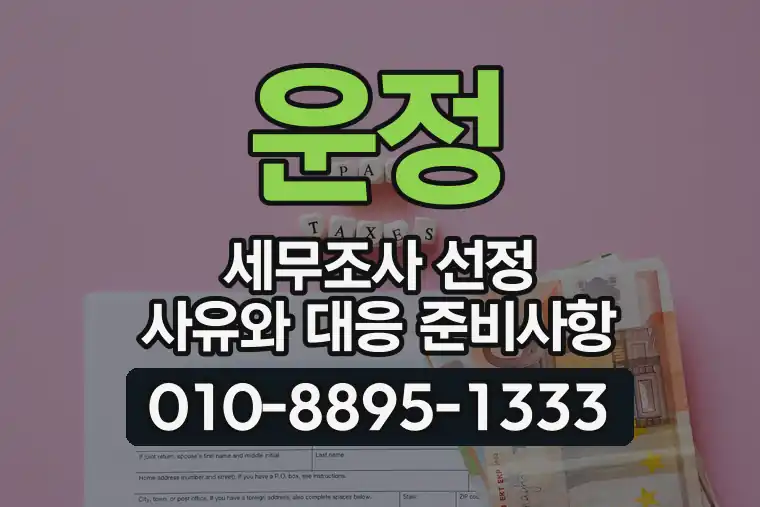 운정 세무조사 선정 사유와 대응 준비사항