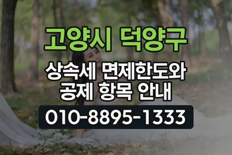경기 고양시 덕양구 행신동 상속세 면제한도와 공제 항목 안내