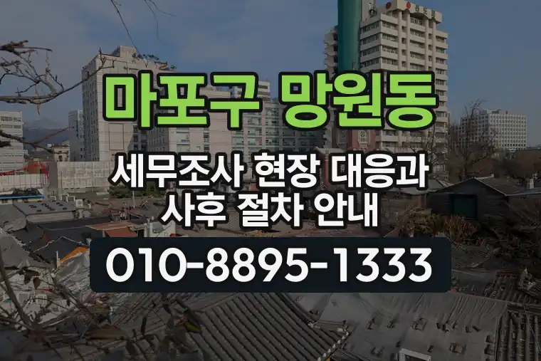 서울 마포구 망원동 세무조사 현장 대응과 사후 절차 안내