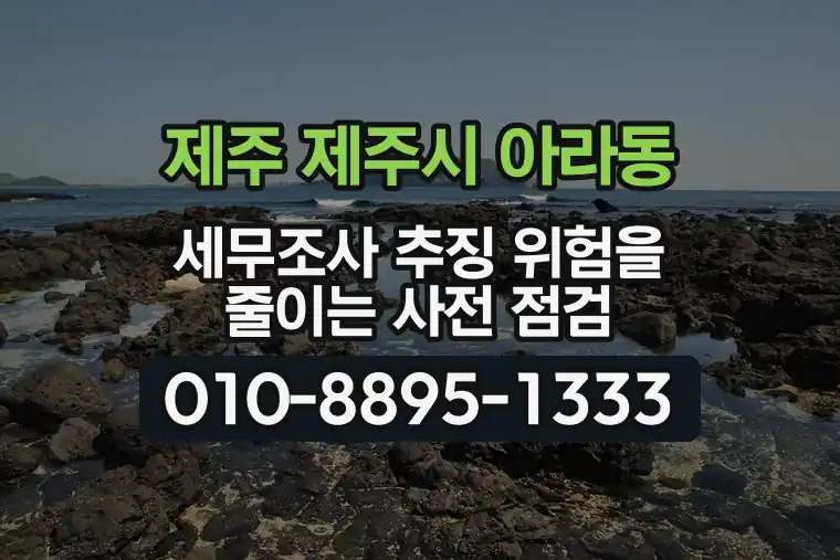 제주 제주시 아라동 세무조사 추징 위험을 줄이는 사전 점검