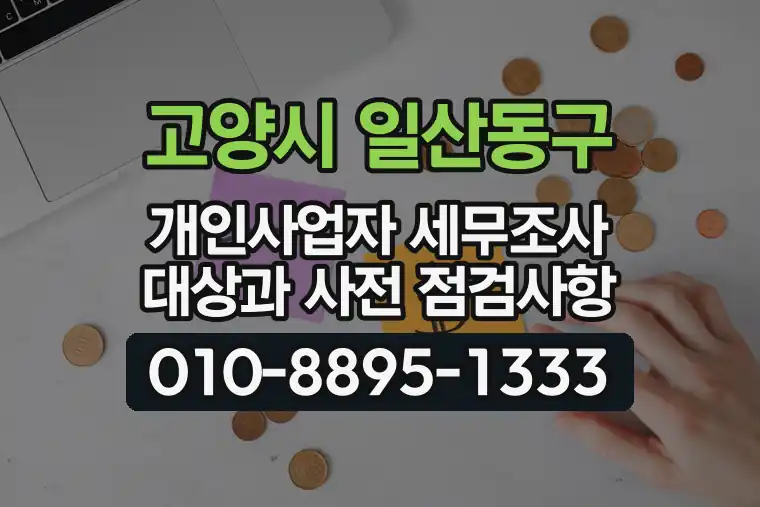 경기 고양시 일산동구 마두동 개인사업자 세무조사 대상과 사전 점검사항