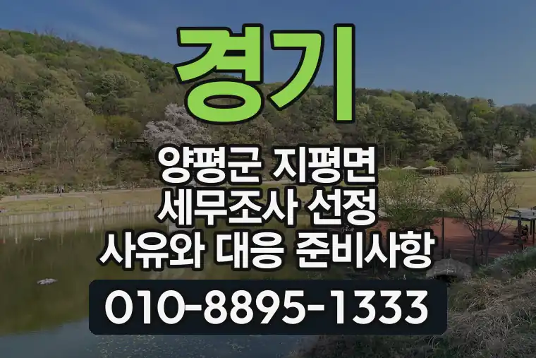 경기 양평군 지평면 세무조사 선정 사유와 대응 준비사항