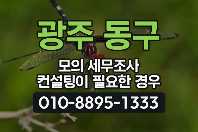 광주 동구 모의 세무조사 컨설팅이 필요한 경우