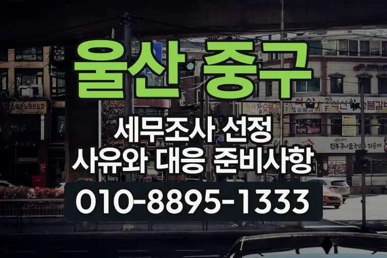 울산 중구 태화동 세무조사 선정 사유와 대응 준비사항