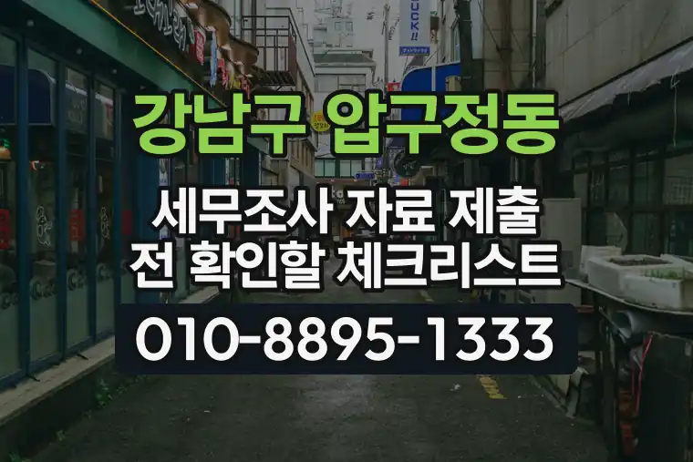 서울 강남구 압구정동 세무조사 자료 제출 전 확인할 체크리스트