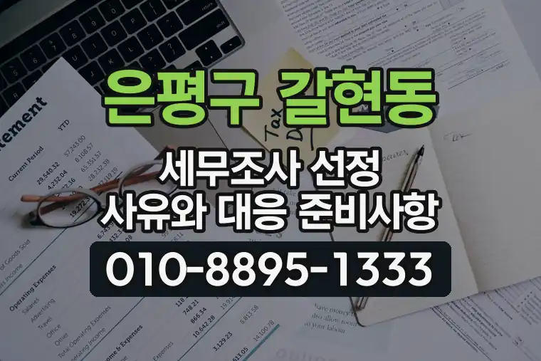 서울 은평구 갈현동 세무조사 선정 사유와 대응 준비사항