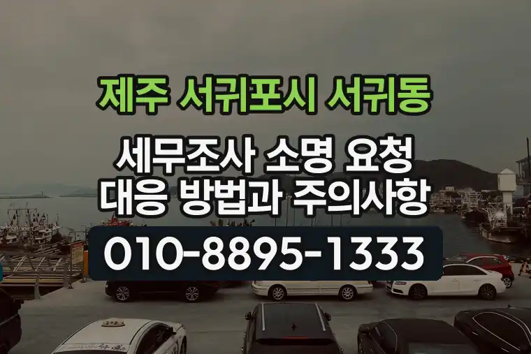 제주 서귀포시 서귀동 세무조사 소명 요청 대응 방법과 주의사항