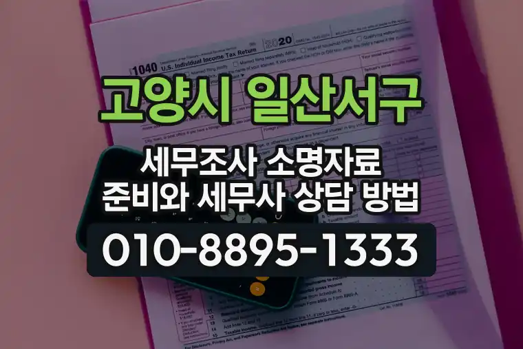 경기 고양시 일산서구 덕이동 세무조사 소명자료 준비와 세무사 상담 방법